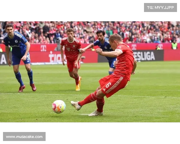 沙尔克迎来转机，暂时摆脱困境