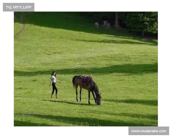 明星与网红的界限:曾黎与森林北的偶遇揭示了什么? 明星与网红的界限:曾黎与森林北的偶遇揭示了什么?