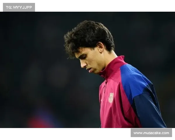 本来没关注还是淘汰后取关？每体分析C罗Ins中没有菲利克斯的原因