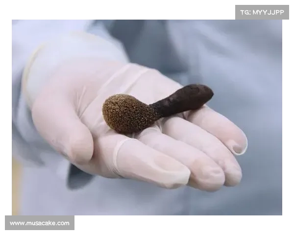 老人头顶长“蘑菇”五年,竟是罕见恶性肿瘤,专家揭秘背后真相 老人头顶长“蘑菇”五年,竟是罕见恶性肿瘤,专家揭秘背后真相